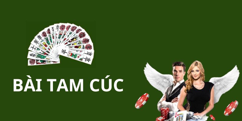 Tìm hiểu đôi nét về bài tam cúc